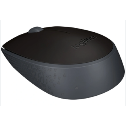 Мышь беспроводная Logitech M171 [910-004643]